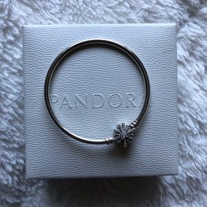 Pandora Bracelet
